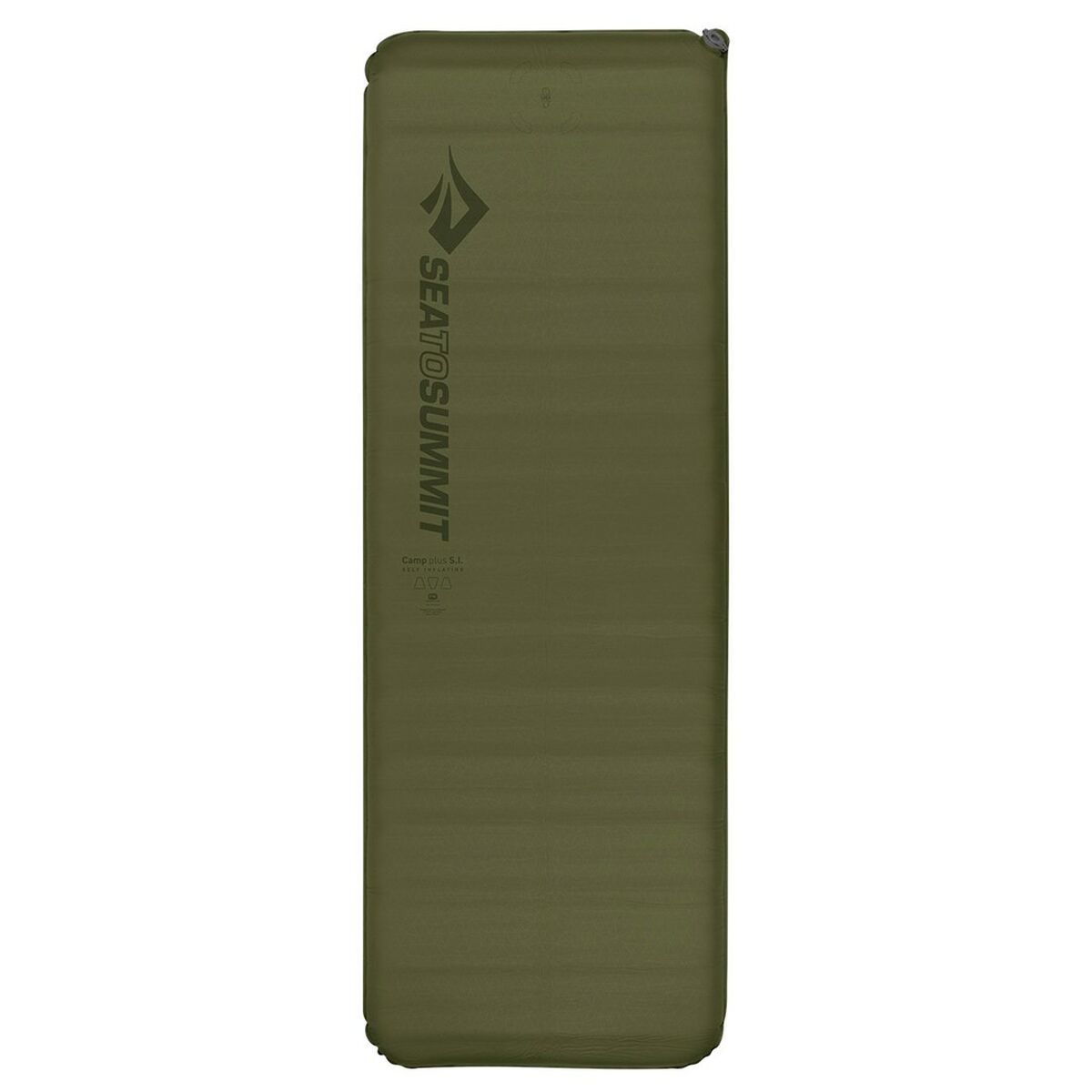 Absorbent Pads, Shields & Guards