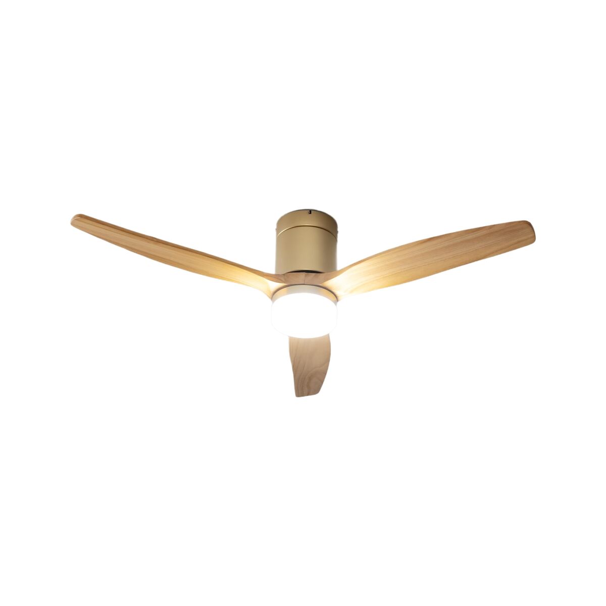 Ceiling Fans with Lamp