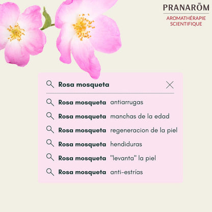 V7H3DE527E1D7BB649841ACCF001054B4BDR7731006P2